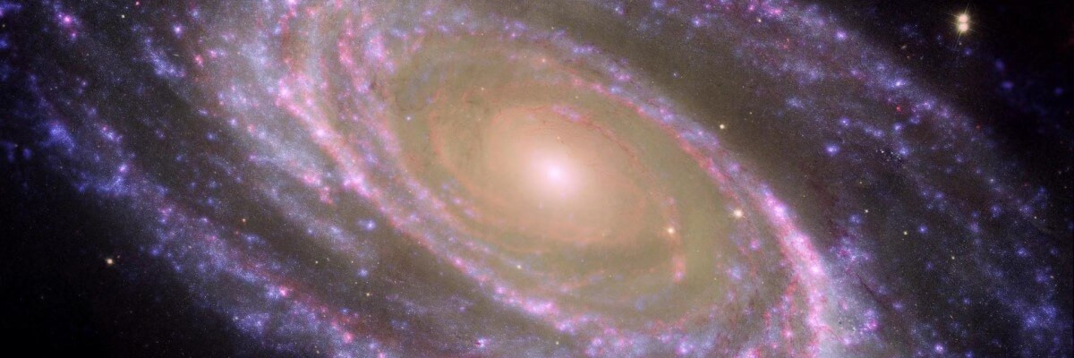 Fusce laoreet enim a urna convallis