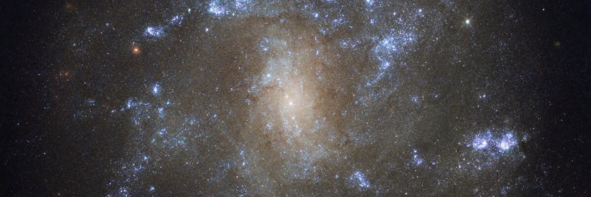  Aliquam laoreet dolor erat